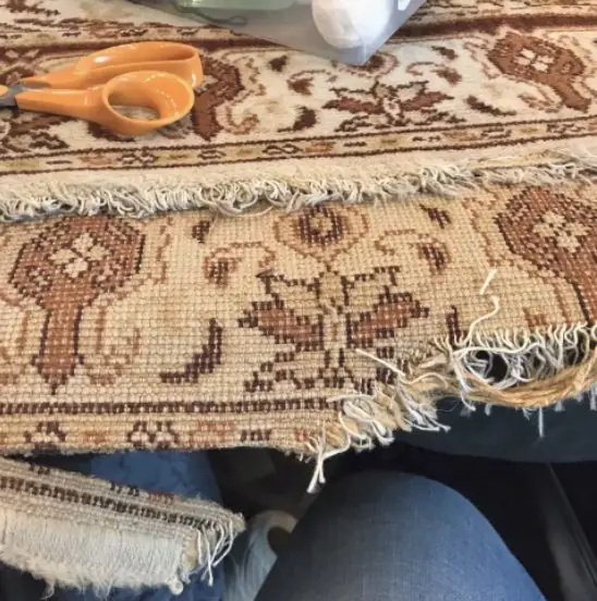 Mites de tapis : reconnaître, éliminer et prévenir